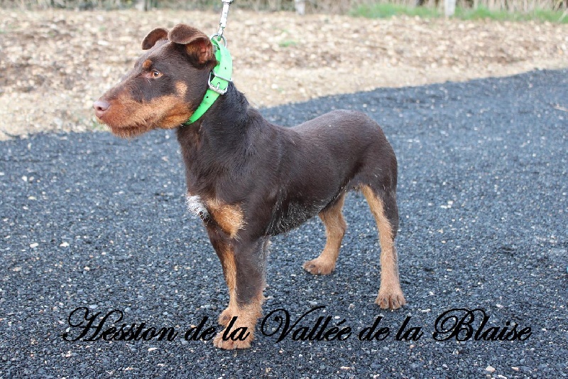 Hesston de la vallée de la Blaise